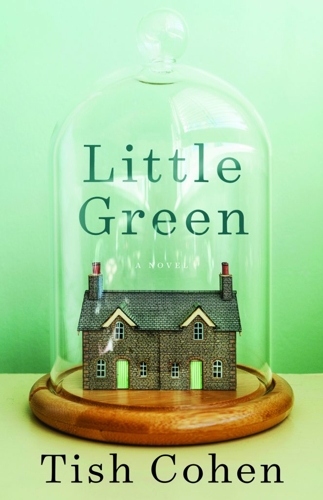 Little-Green-galley-cover-image-copy-1-1-663x1024